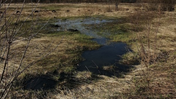 В Кимрах сточные воды из колодца попадают в ручей и Волгу В Кимрах сточные воды из колодца попадают в ручей и Волгу