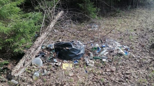 В Конаковском районе побережье начали очищать от мусора "диких" туристов В Конаковском районе побережье начали очищать от мусора "диких" туристов