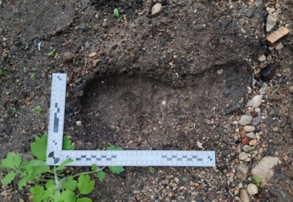 В Тверской области хозяин дома застукал вора на месте преступления
