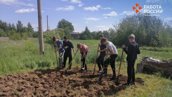 На тверские сельхозпредприятия придут работать более 340 подростков На тверские сельхозпредприятия придут работать более 340 подростков