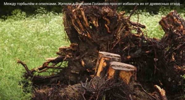 Под Нелидово образовались большие свалки из отходов пилорам