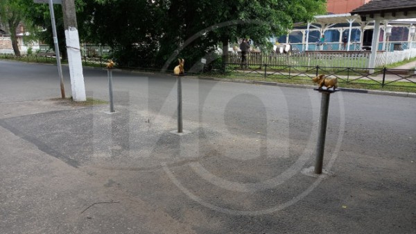 В Твери у Музея козла горожане для богатства натирают новых золотых козликов В Твери у Музея козла горожане для богатства натирают новых золотых козликов