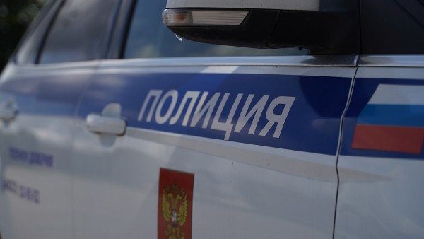 В Тверской области ищут водителя, который сбил лося В Тверской области ищут водителя, который сбил лося