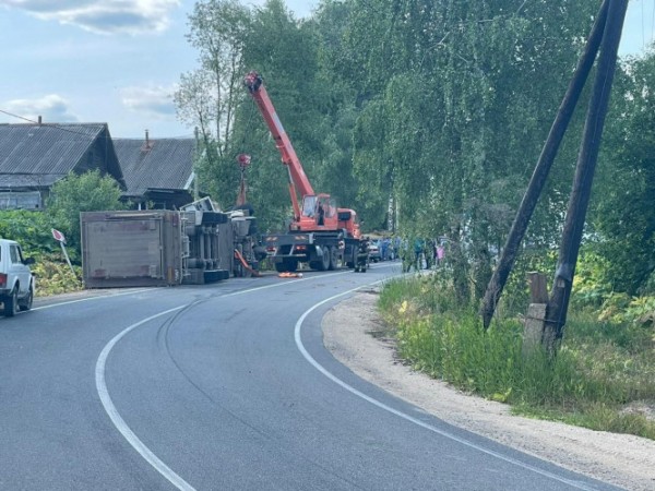 В Тверской области опрокинулась фура с поросятами В Тверской области опрокинулась фура с поросятами