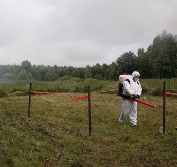 В Тверской области учились бороться с оспой овец и коз