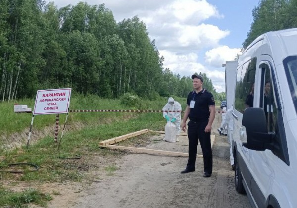 Под Тверью учились ликвидировать очаг африканской чумы свиней Под Тверью учились ликвидировать очаг африканской чумы свиней