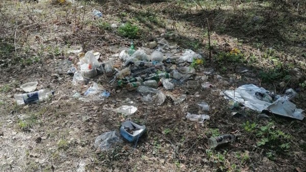 В Тверской области туристы оставляют после себя горы мусора В Тверской области туристы оставляют после себя горы мусора