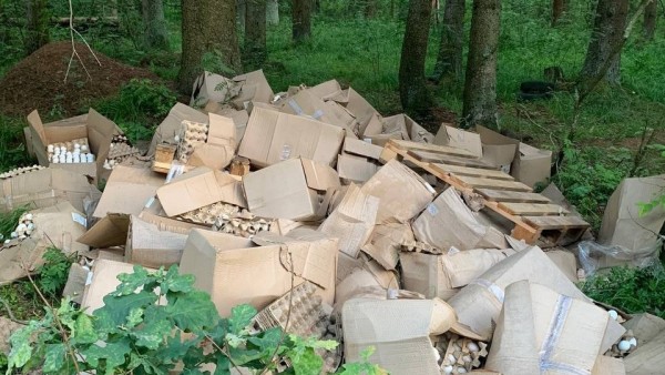 Возле СНТ под Тверью обнаружили свалку тухлых яиц Возле СНТ под Тверью обнаружили свалку тухлых яиц