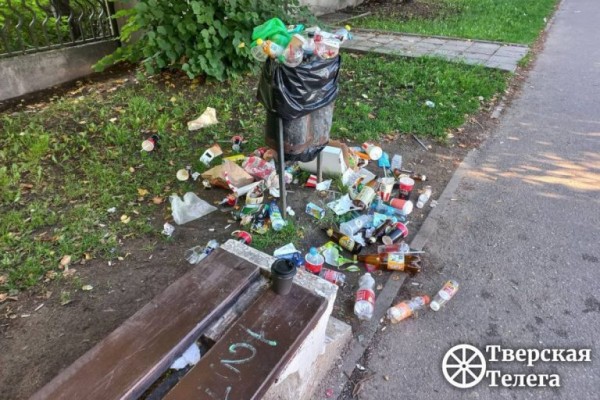 В Твери после празднования Дня города часть урн была переполнена мусором В Твери после празднования Дня города часть урн была переполнена мусором