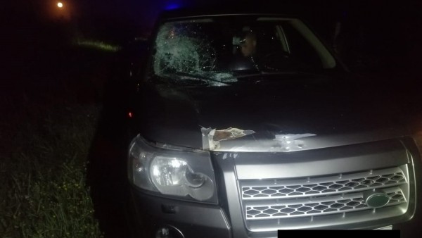 Под Тверью сбили насмерть гулявшего по дороге пешехода Под Тверью сбили насмерть гулявшего по дороге пешехода