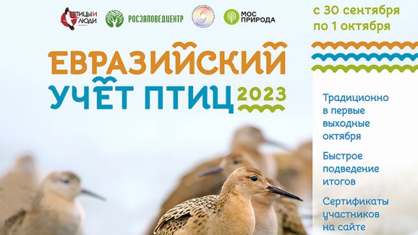 Тверичан приглашают поучаствовать в народном мониторинге птиц при осенней миграции Тверичан приглашают поучаствовать в народном мониторинге птиц при осенней миграции