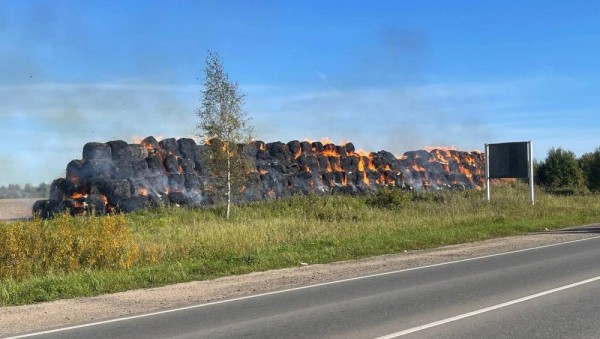 Под Ржевом неизвестные сожгли заготовленное для скота сено Под Ржевом неизвестные сожгли заготовленное для скота сено