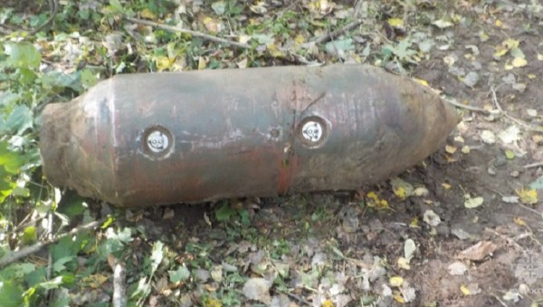 В деревне в Тверской области нашли четыре авиационные бомбы В деревне в Тверской области нашли четыре авиационные бомбы