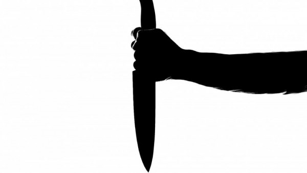 Жительницу Твери осудили за убийство своего 24-летнего брата Жительницу Твери осудили за убийство своего 24-летнего брата