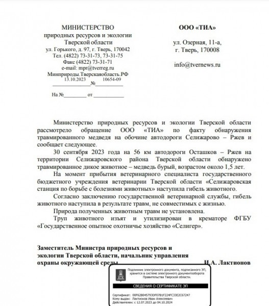 В минэкологии Тверской области рассказали о судьбе найденного на обочине медведя