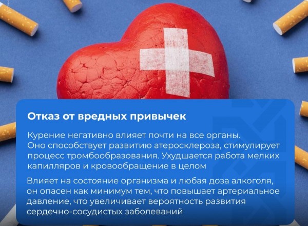 Как без лекарств в несколько раз снизить риск инфаркта и инсульта Как без лекарств в несколько раз снизить риск инфаркта и инсульта