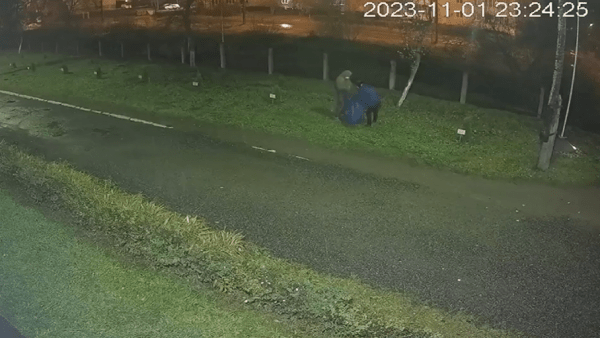 В Твери украли туи, высаженные в память о героях боевых действий В Твери украли туи, высаженные в память о героях боевых действий