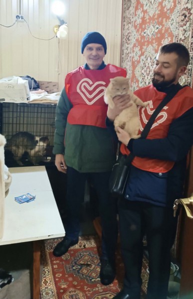 В Тверской области дети собрали подарки для бездомных животных В Тверской области дети собрали подарки для бездомных животных