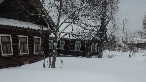 В Тверской области нет закона, который запрещает коровам и козам гулять по деревне В Тверской области нет закона, который запрещает коровам и козам гулять по деревне