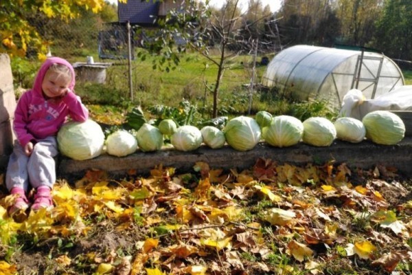 Пока все дома в деревне Старково: традиции многодетной семьи Поспеловых Пока все дома в деревне Старково: традиции многодетной семьи Поспеловых