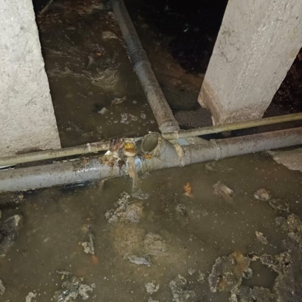 В Твери подвал дома заливает вода из канализации с фекалиями