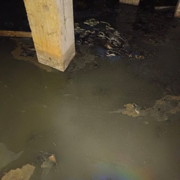 В Твери подвал дома заливает вода из канализации с фекалиями