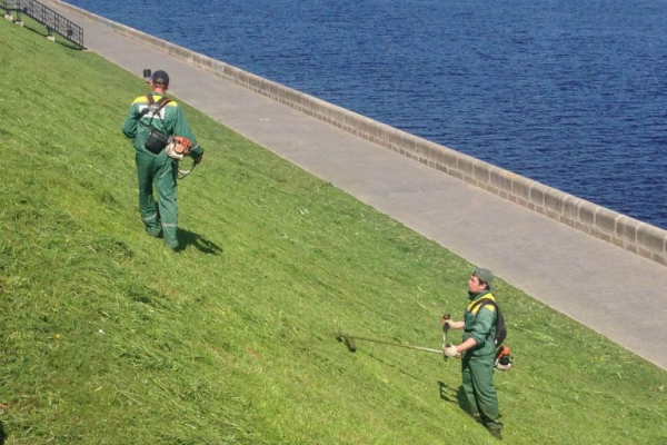 500 тысяч рублей потратят на покос травы в центре Твери 500 тысяч рублей потратят на покос травы в центре Твери