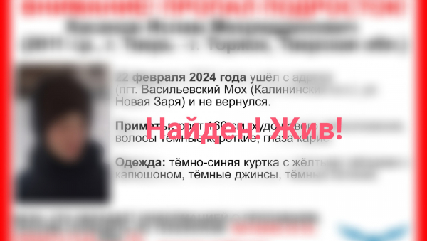 Пропавшего под Тверью подростка полиция нашла у родственников в Торжке Пропавшего под Тверью подростка полиция нашла у родственников в Торжке