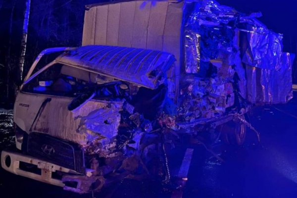 Один человек пострадал в тройном ДТП с фурами на М-10 в Тверской области
