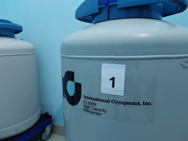 Репродуктивное здоровье женщины: составляющие понятия, лечение и профилактика Репродуктивное здоровье женщины: составляющие понятия, лечение и профилактика