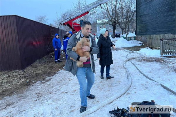 В Твери вновь горит Первомайка: на пожаре спасли людей, кошек и собак В Твери вновь горит Первомайка: на пожаре спасли людей, кошек и собак