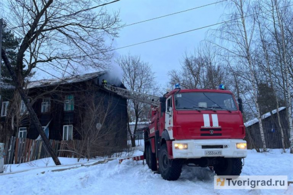 В Твери вновь горит Первомайка: на пожаре спасли людей, кошек и собак В Твери вновь горит Первомайка: на пожаре спасли людей, кошек и собак