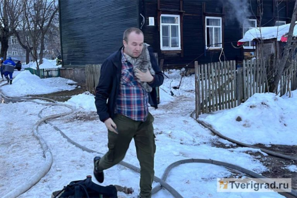 В Твери вновь горит Первомайка: на пожаре спасли людей, кошек и собак В Твери вновь горит Первомайка: на пожаре спасли людей, кошек и собак