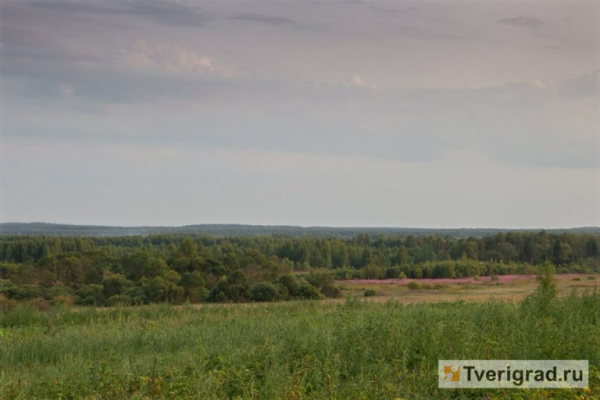В Тверской области продлили программу поддержки сельхозпредприятий В Тверской области продлили программу поддержки сельхозпредприятий