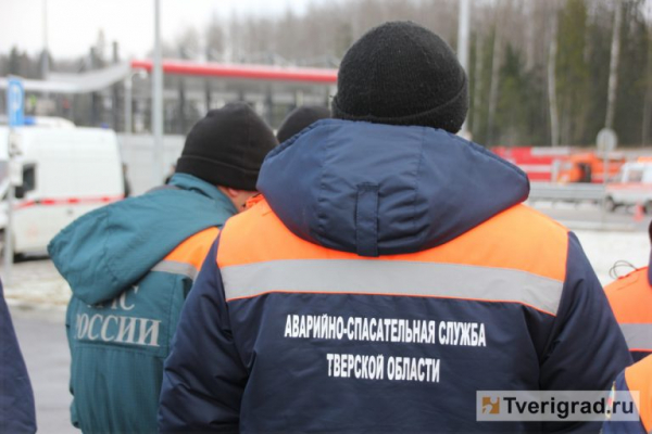 На полигоне в Тверской области ликвидировали 13 артиллерийских снарядов На полигоне в Тверской области ликвидировали 13 артиллерийских снарядов