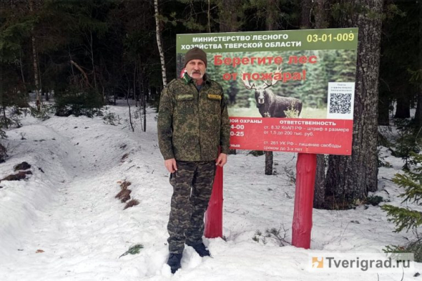 Пуща на воле: лесничий рассказал о тайнах «зелёного золота» Тверской области Пуща на воле: лесничий рассказал о тайнах «зелёного золота» Тверской области