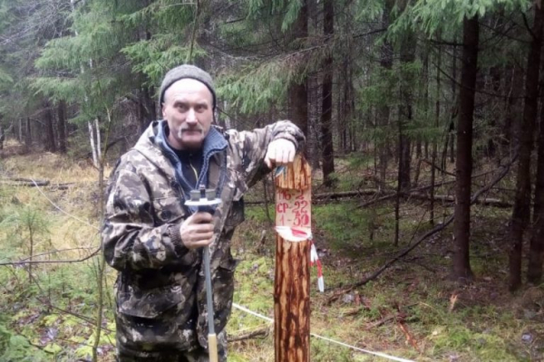 Пуща на воле: лесничий рассказал о тайнах «зелёного золота» Тверской области Пуща на воле: лесничий рассказал о тайнах «зелёного золота» Тверской области