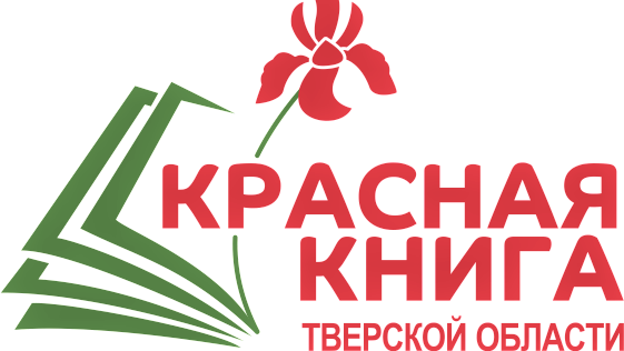 Определили финалистов конкурса "Красная книга Тверской области глазами детей" Определили финалистов конкурса "Красная книга Тверской области глазами детей"