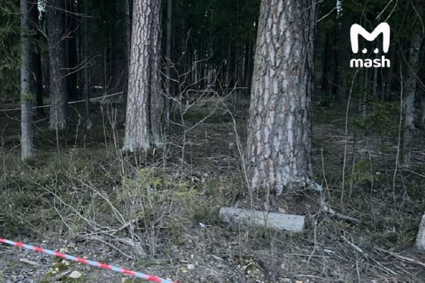 Тверских водителей просят помочь восстановить хронологию расстрела полицейских в Подмосковье Тверских водителей просят помочь восстановить хронологию расстрела полицейских в Подмосковье