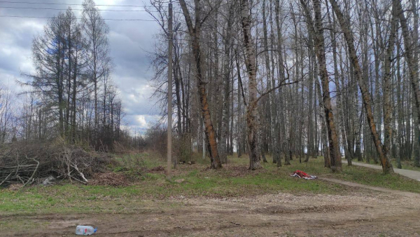 Убившего жену бывшего кандидата в депутаты гордумы Твери исключат из партии Убившего жену бывшего кандидата в депутаты гордумы Твери исключат из партии