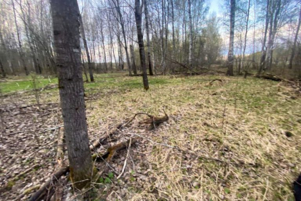 В Тверской области егерь обнаружил в лесу труп мужчины В Тверской области егерь обнаружил в лесу труп мужчины