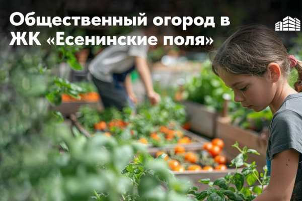От стресса и авитаминоза: «Новый Город» создаст общественный огород в тверском ЖК «Есенинские поля» От стресса и авитаминоза: «Новый Город» создаст общественный огород в тверском ЖК «Есенинские поля»