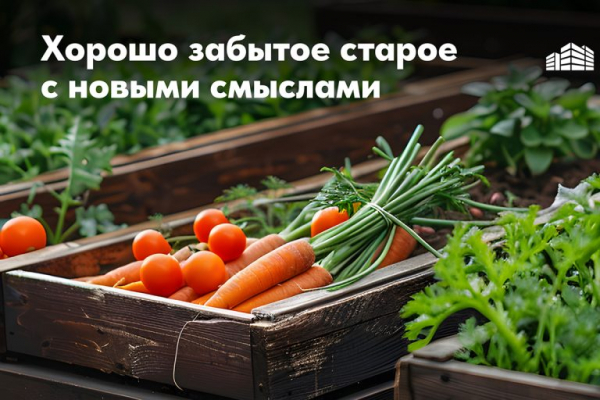 От стресса и авитаминоза: «Новый Город» создаст общественный огород в тверском ЖК «Есенинские поля» От стресса и авитаминоза: «Новый Город» создаст общественный огород в тверском ЖК «Есенинские поля»