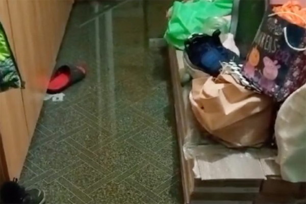 После сильного дождя в многоквартирном доме в Твери затопило квартиры и тамбуры После сильного дождя в многоквартирном доме в Твери затопило квартиры и тамбуры