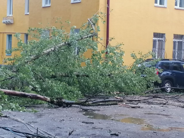В Тверской области дерево сломало столб, и он упал на автомобиль