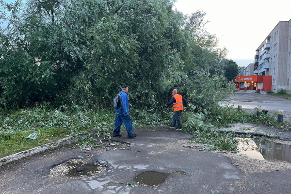 Ураган валил деревья в Тверской области