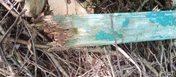 В Тверской области на ребёнка в детском саду упало баскетбольное кольцо