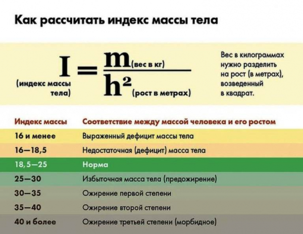 Названы &laquo;кирпичики&raquo;, из которых можно построить &laquo;стену&raquo; для защиты от сердечно-сосудистых катастроф