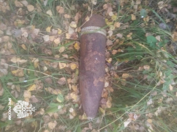 В Зубцовском округе нашли 17 мин и один артиллерийский снаряд В Зубцовском округе нашли 17 мин и один артиллерийский снаряд