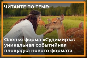 Афиша на выходные в Твери: 14 и 15 сентября